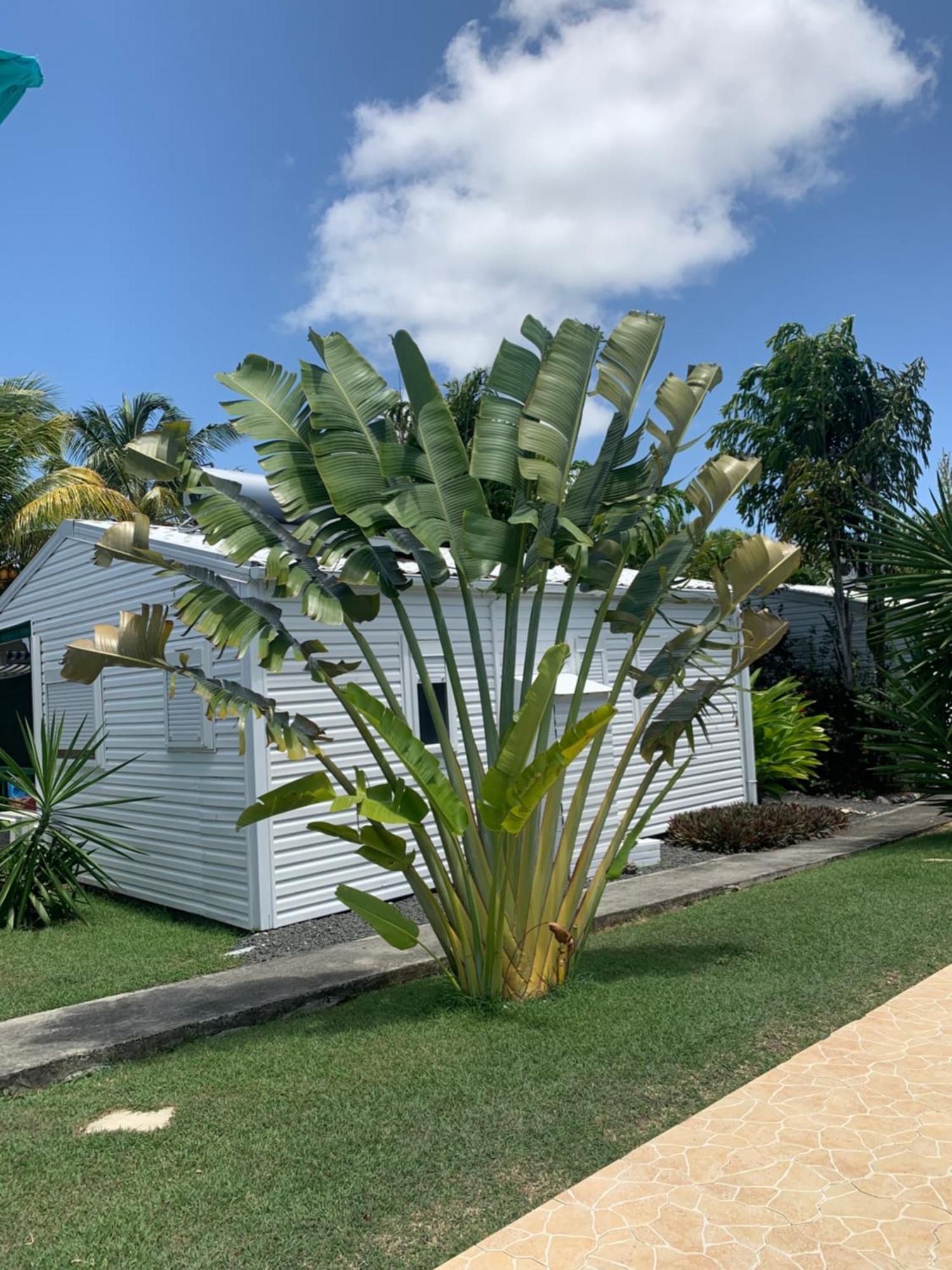 L' Attrape - Rêves Saint-Francois (Grande-Terre) Exterior foto
